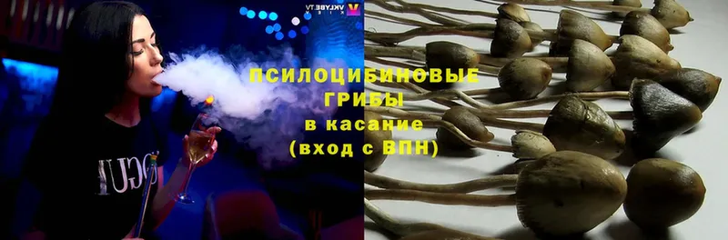 закладки  Владивосток  Галлюциногенные грибы ЛСД 